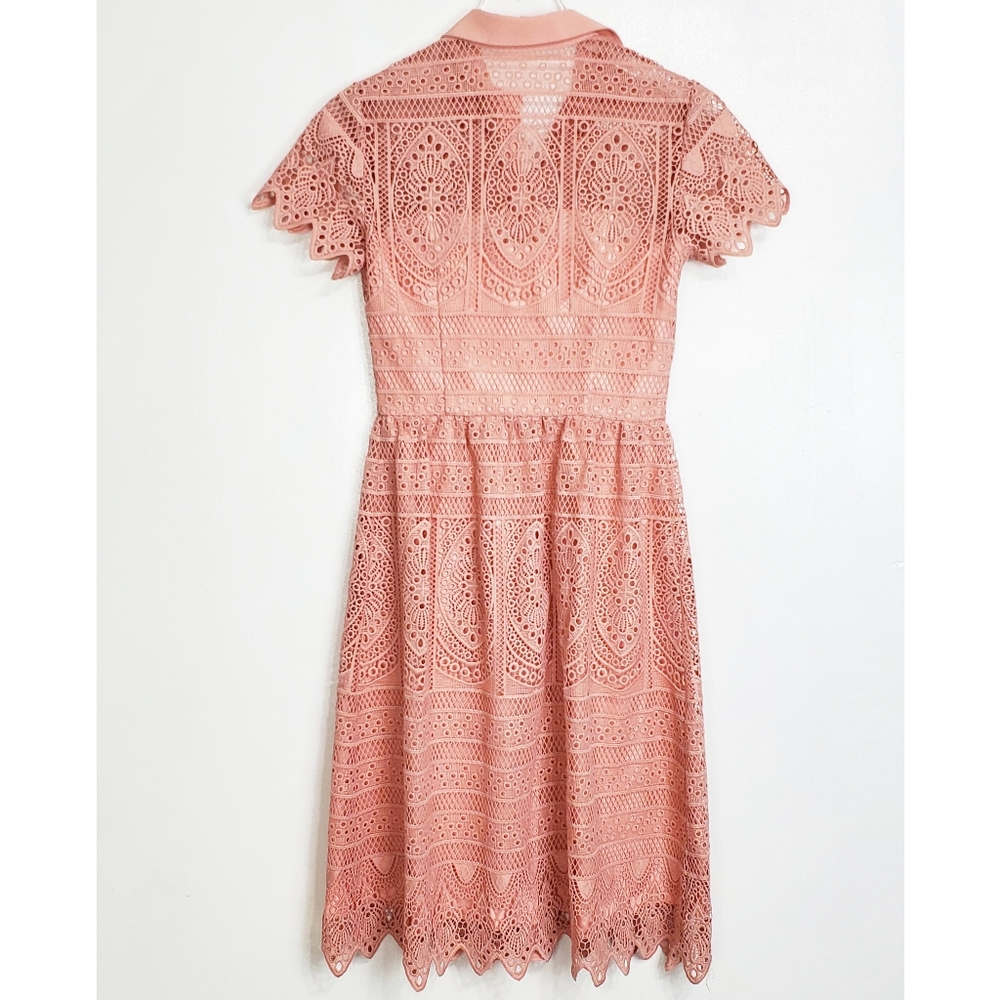 ANTONIO MELANI Blush Pink Lace Shirt Dress - Picture 6 of 14